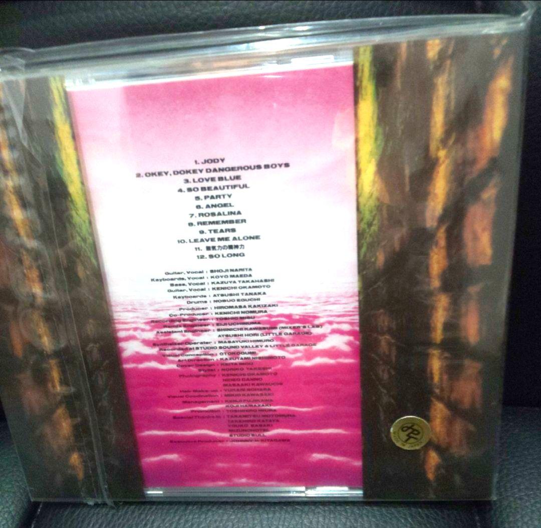 男闘呼組/アイム・ウェイティング・4・ユー未開封CD