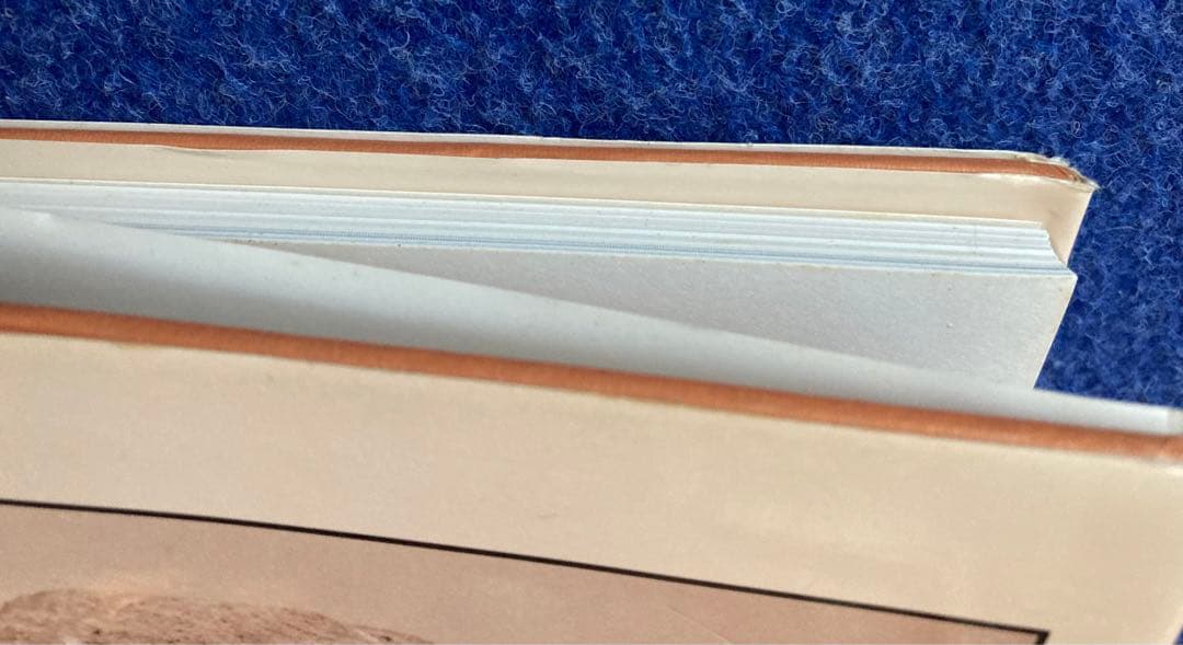 洋書 The Ancient Art of Colima, Mexico