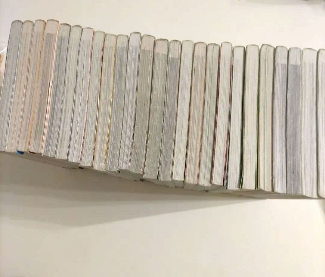 【25冊セット】 サバイバルシリーズ 人気シリーズ 中学受験