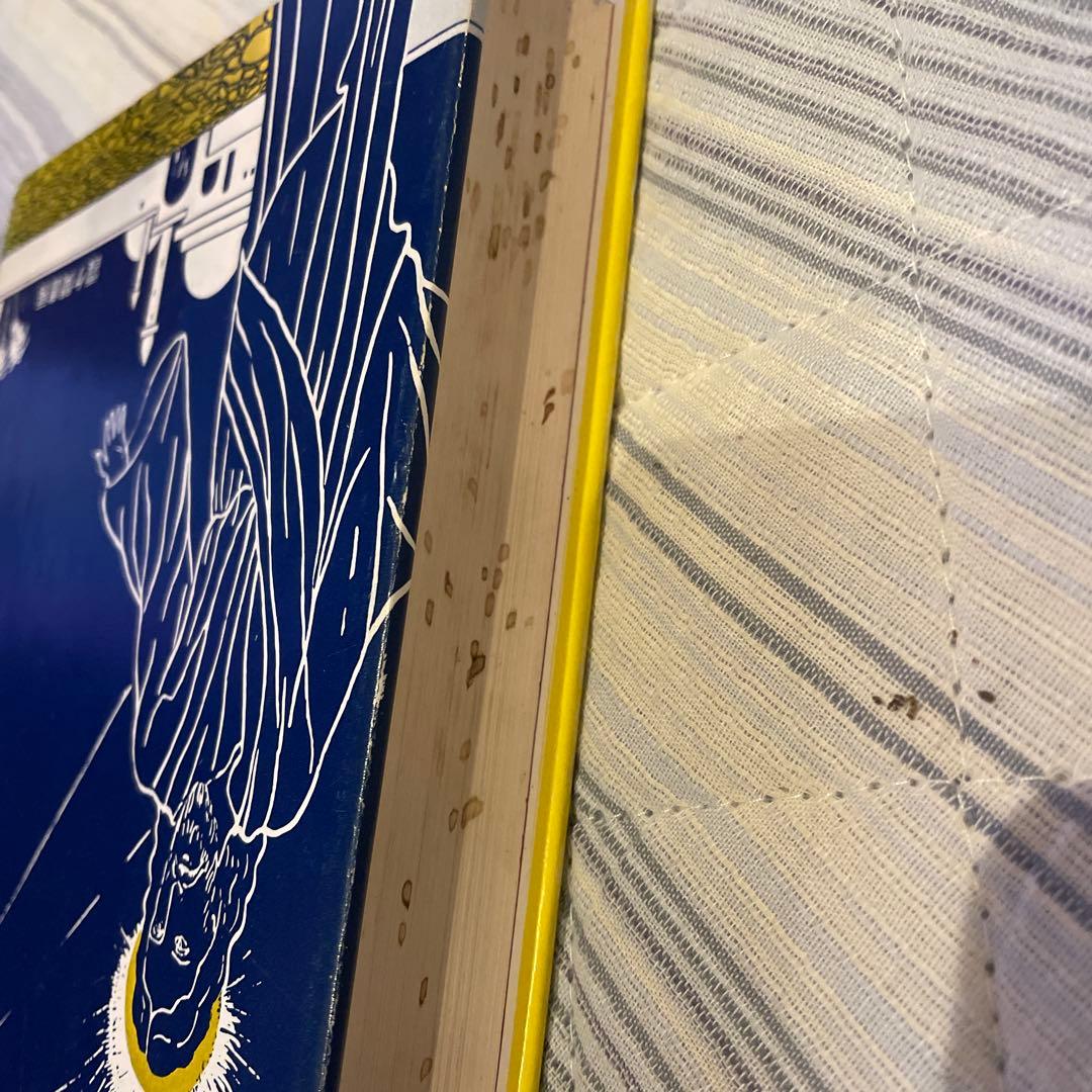 宝瓶宮福音書 リバイ・ドーリング著 イエス・キリストの生涯 秘教・神秘キリスト教