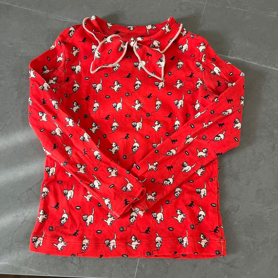 Misha & Puff 赤猫　6y