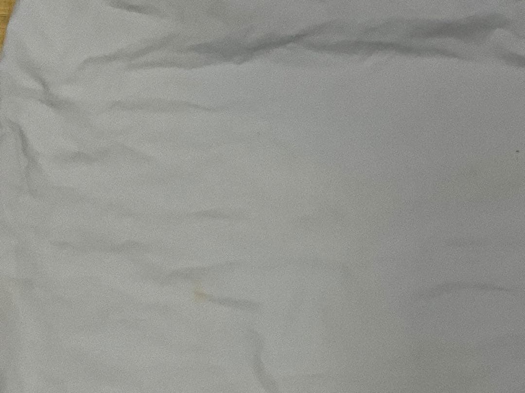 アニアリ　ショルダーバック　2WAY　大容量　グリーン　未使用