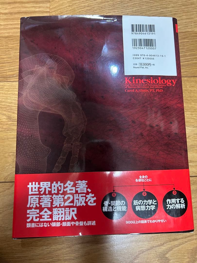【ないんページ】オーチスのキネシオロジー