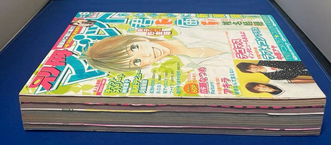 別冊マーガレット 2007年6月号