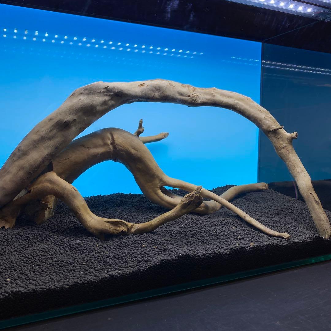 MDW-6763 ブランチウッドレイアウトセット　流木　枝流木　アクアリウム