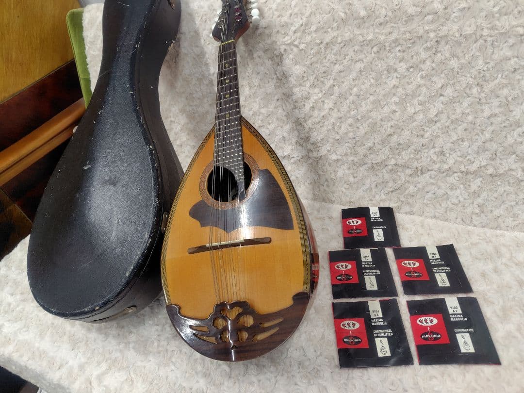 スズキ マンドリン No.70 KISO HUKUSHIMA ハードケース付き