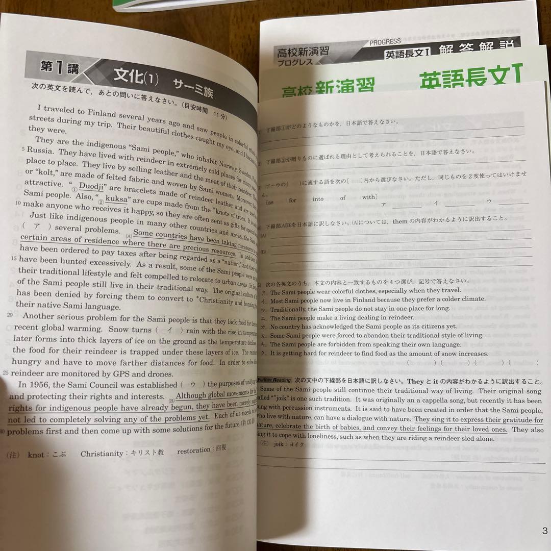 新演習 新品未使用品 高校 プログレス 英語長文I 英文法 構文