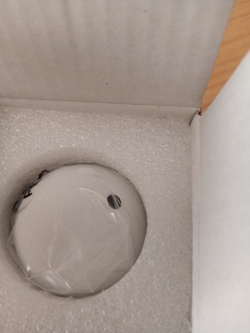 新品 STELLA BEAUTE ビューティフェイススティックRin＋スタンド