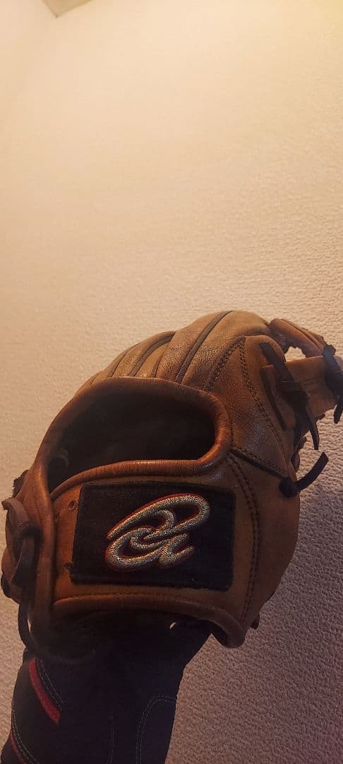 に*ん様 ドナイヤ軟式　内野用グローブ　大人用