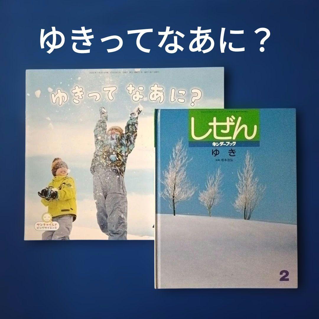 ビッグサイエンス　キンダーブックしぜん　ゆき　ゆきってなあに？
