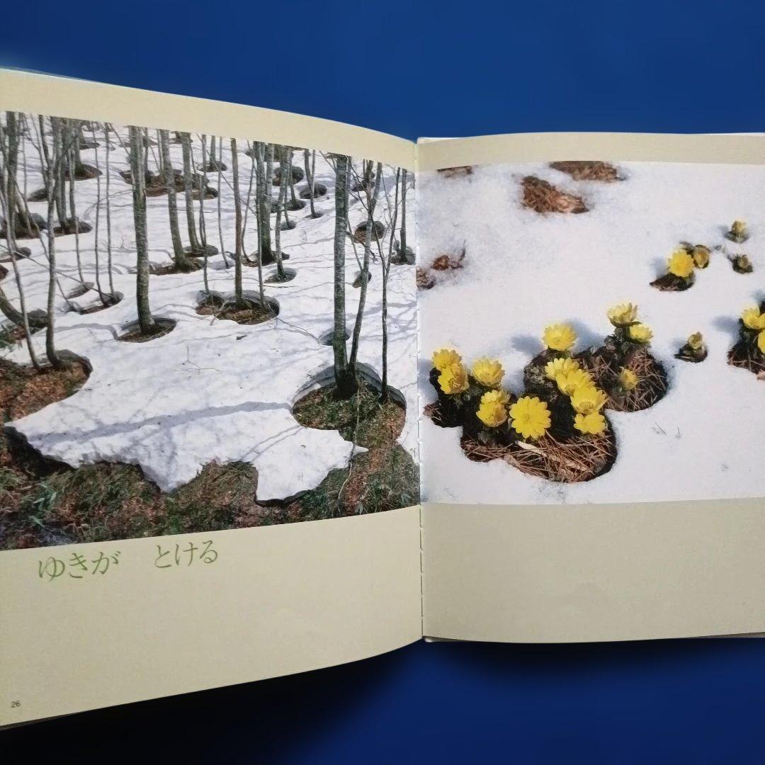 ビッグサイエンス　キンダーブックしぜん　ゆき　ゆきってなあに？