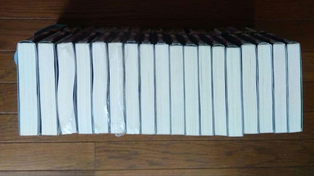 境界迷宮と異界の魔術師　1〜18巻