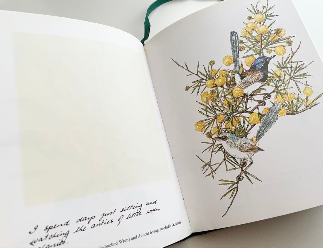 海外購入 洋書 Wildflowers in Watercolour＊インテリア