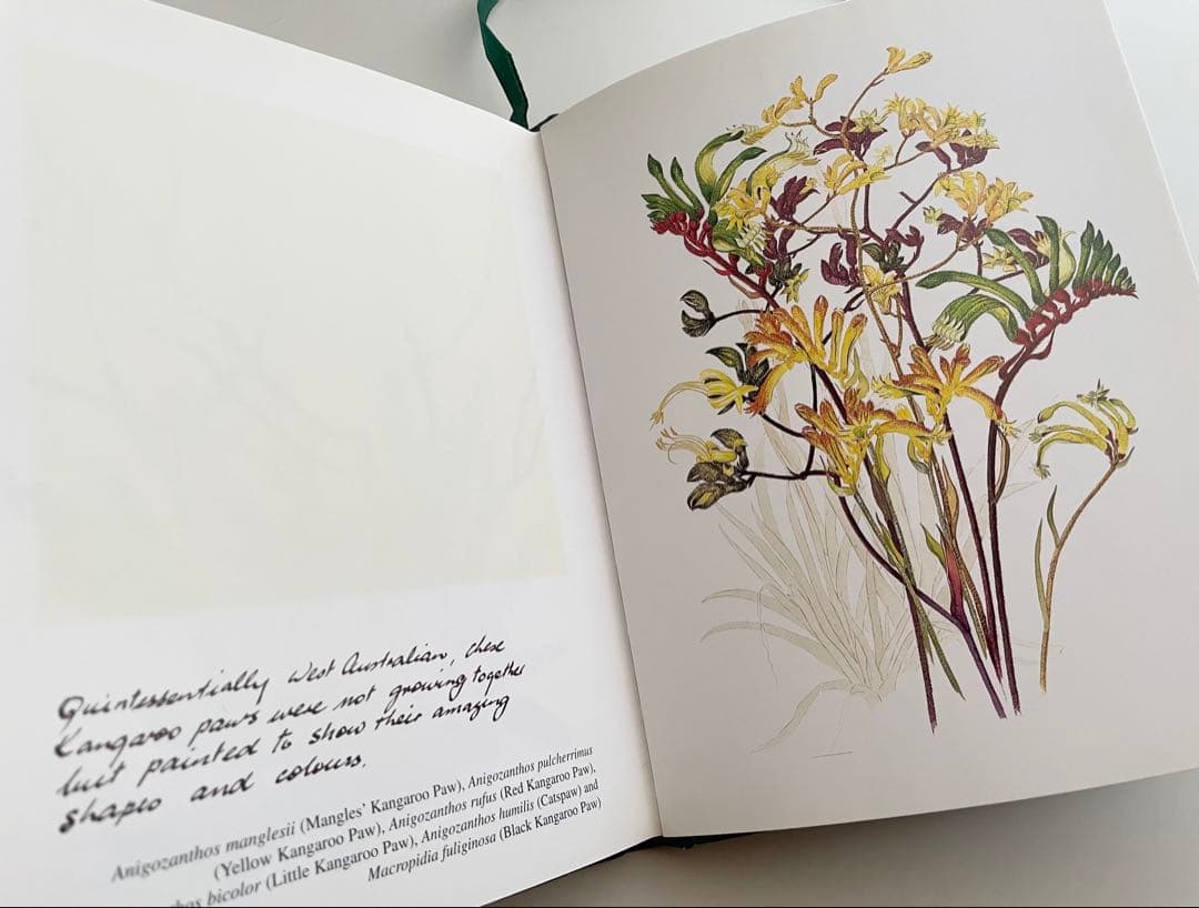 海外購入 洋書 Wildflowers in Watercolour＊インテリア