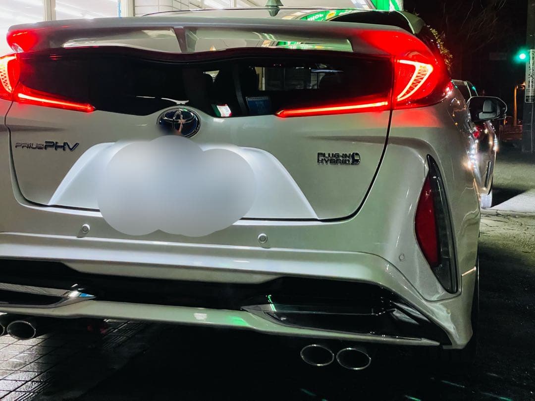 ダックスガーデン　リアウイング　パールホワイト塗装済