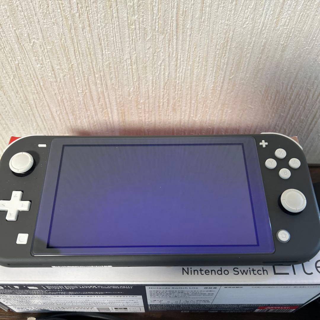 Nintendo Switch Lite グレー 本体と付属品　2024年購入
