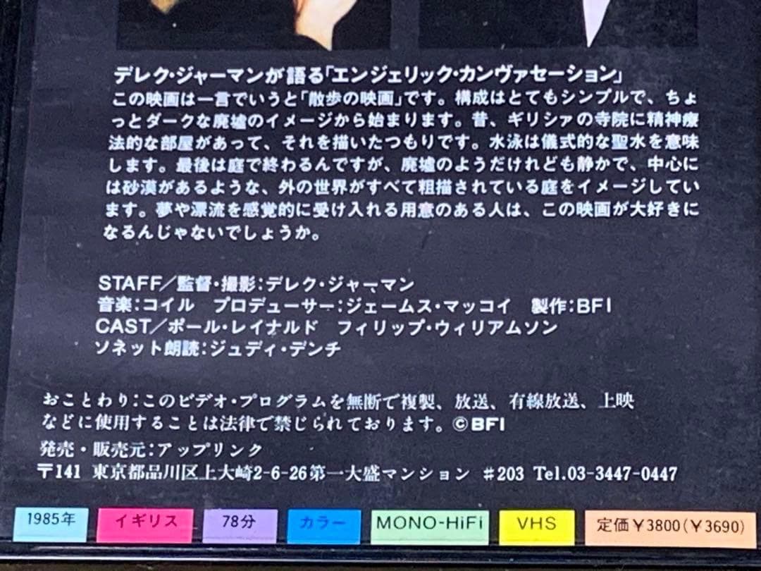 デレク・ジャーマン：フィルム・コレクション Vol.1 VHSビデオ