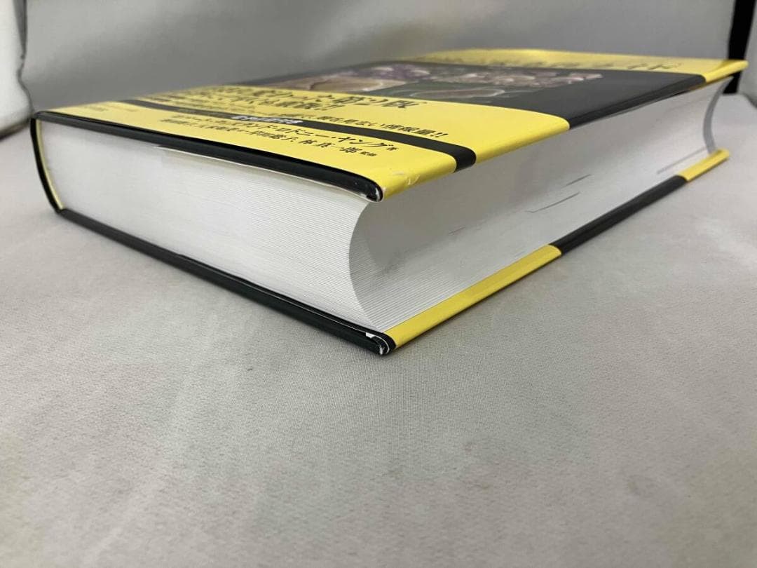 精油の安全性ガイド 第2版　［ロバート・ティスランド　　ロドニー・ヤング著］