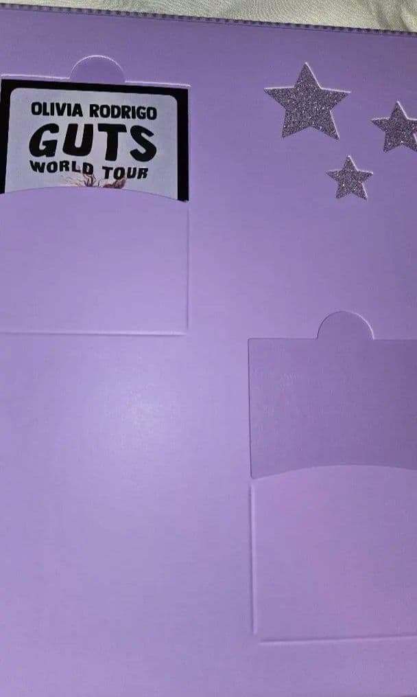 アート・デザイン・音楽 OLIVIA RODRIGO GUTS WORLD TOUR BOOK