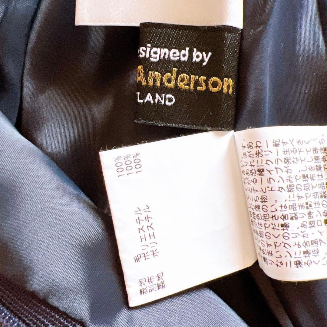 ANAYI アナイ　Vネック 長袖 フレアワンピース