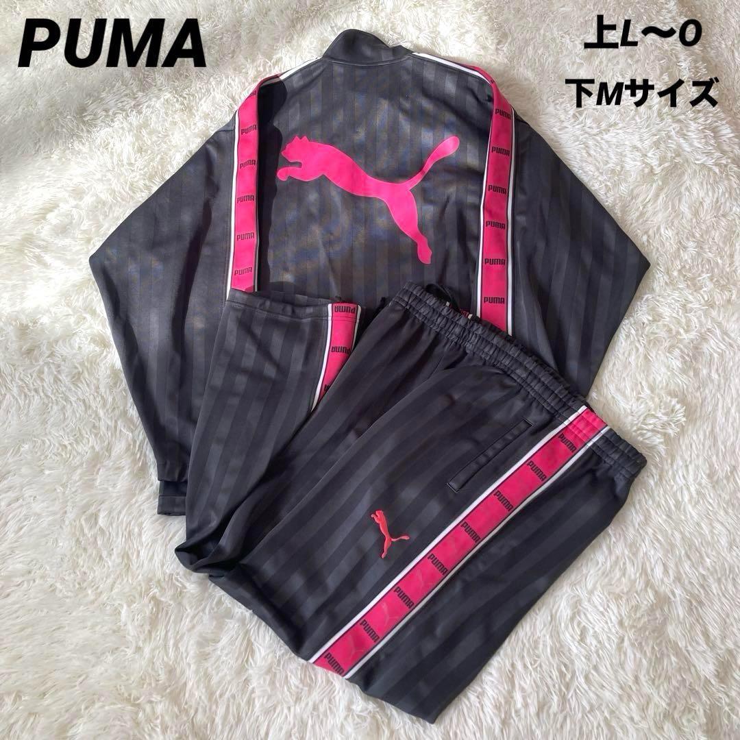 PUMA プージャ　ジャージ上下セット グレー　ピンク　 大きいサイズ