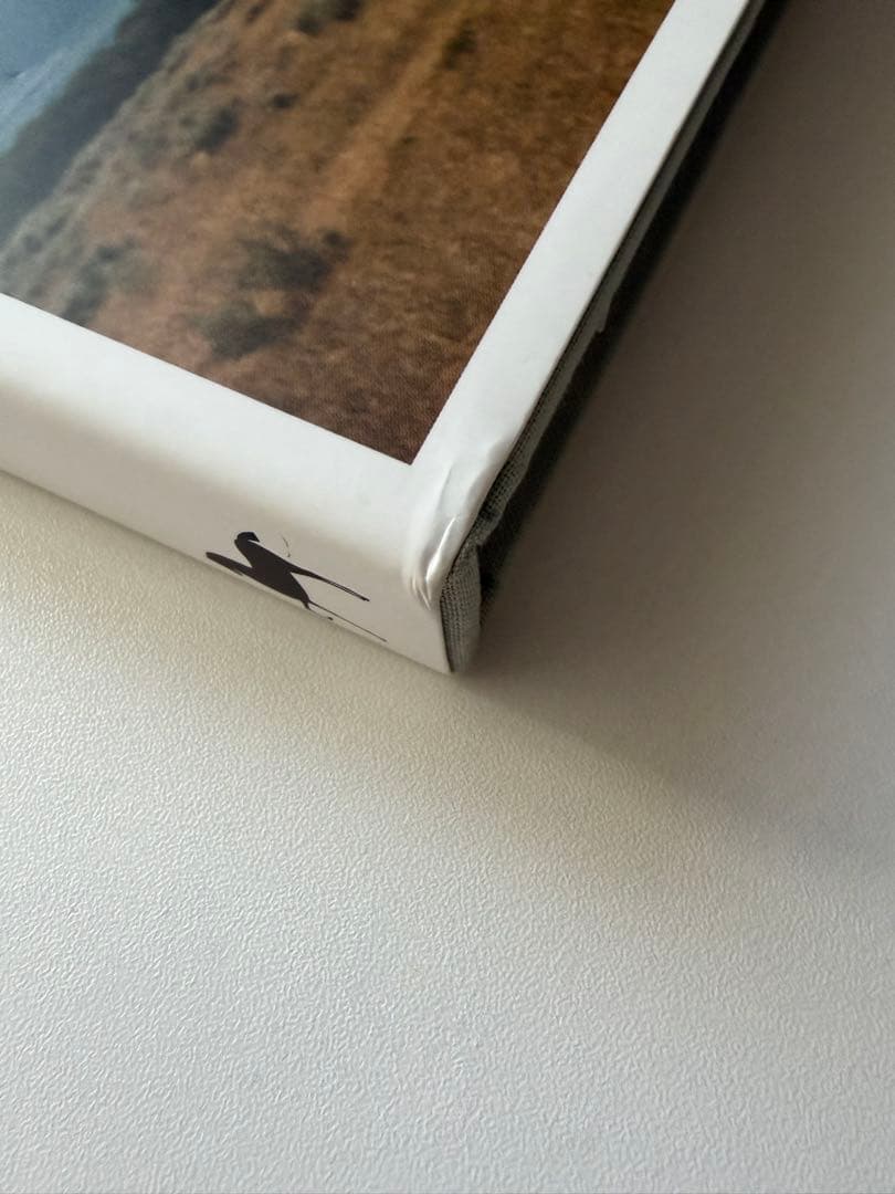 アート・デザイン・音楽 Ryan Mcginley you and i