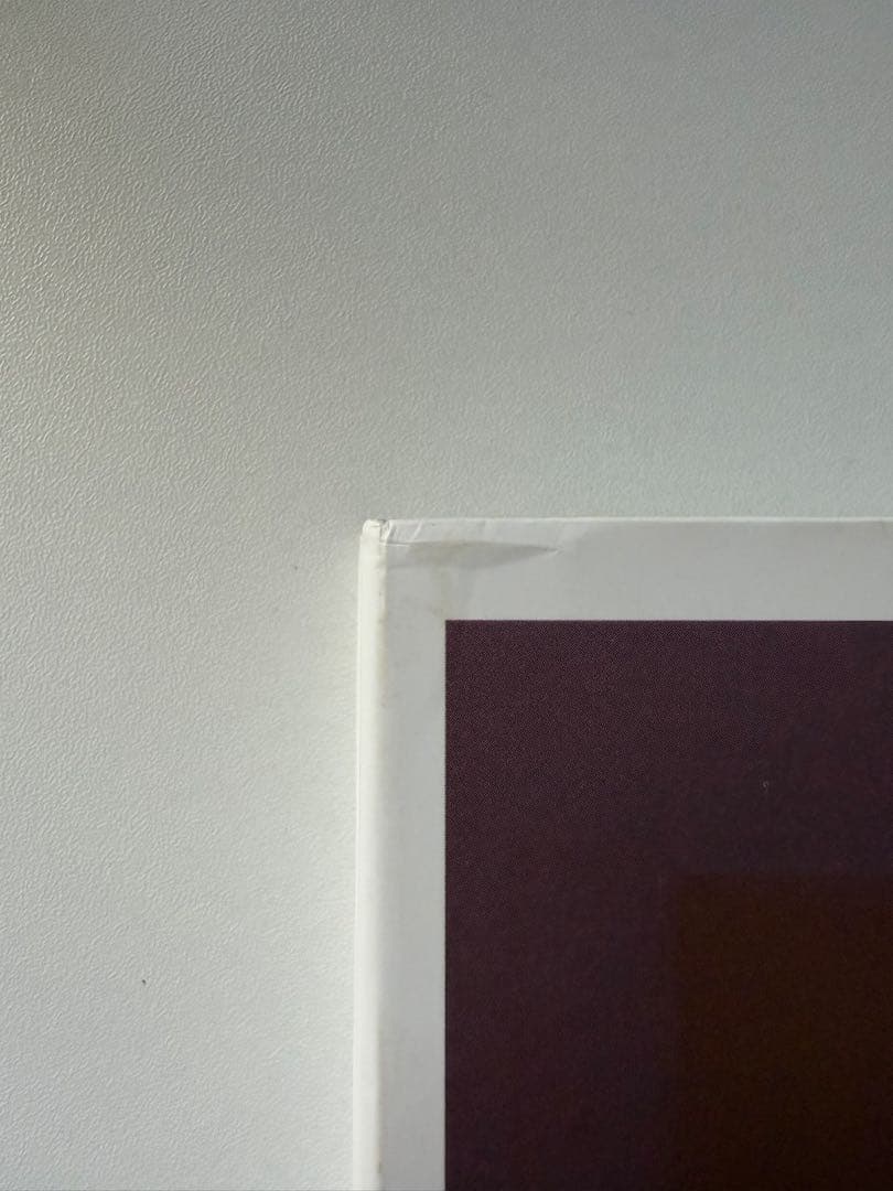 アート・デザイン・音楽 Ryan Mcginley you and i