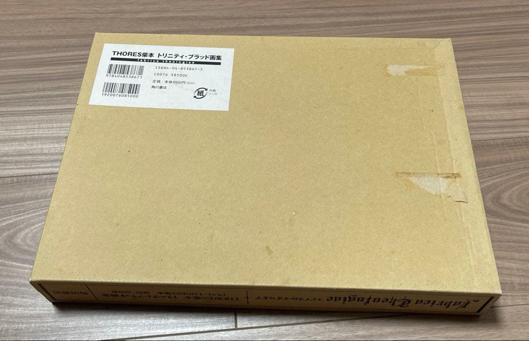 THORES柴本トリブラ画集ファブリカ・テオ ロギア