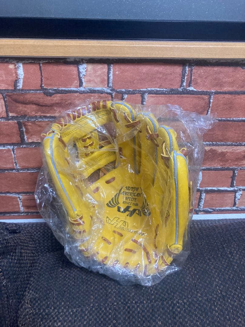 ひろし　⭐️(本日限定価格) ハタケヤマ　硬式大人用内野手グラブ