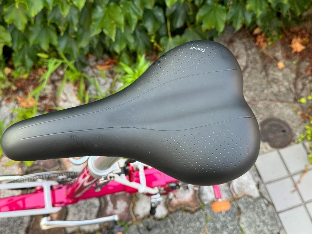 Carry Me Pacific Cycles キャリーミー 折りたたみ自転車