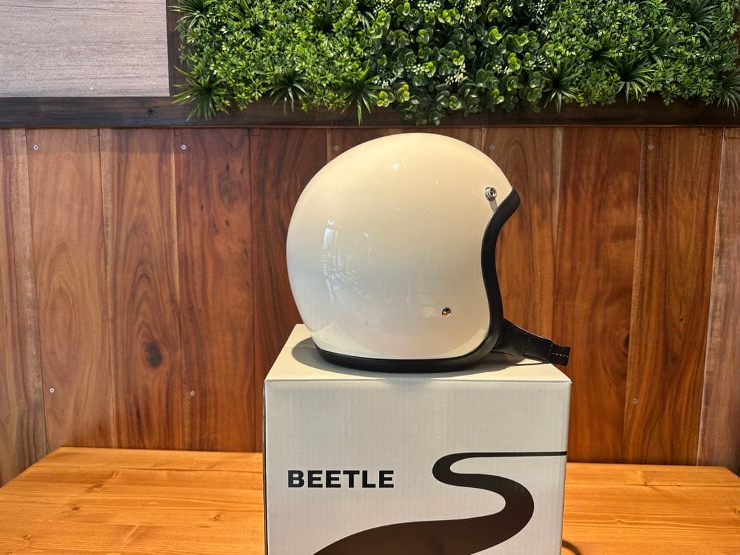 オーシャンビートルLAC Mサイズ