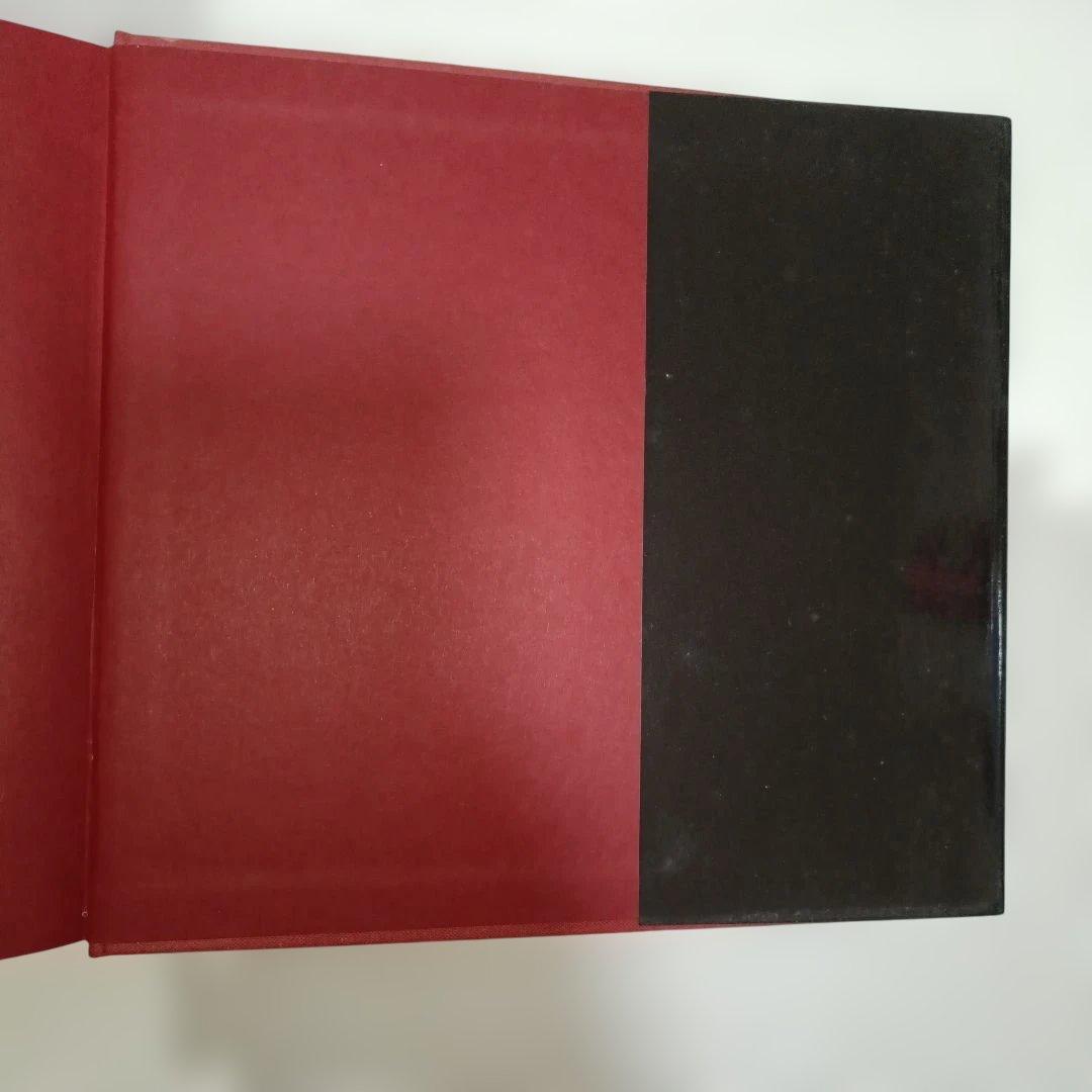 アート・デザイン・音楽 SAUL LEITER Early Color