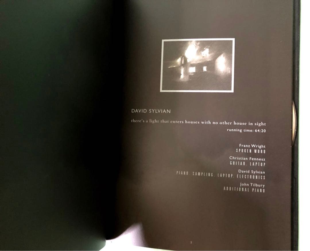 【希少限定盤CD】デヴィッド・シルヴィアン　いくつかの家に射し込む光