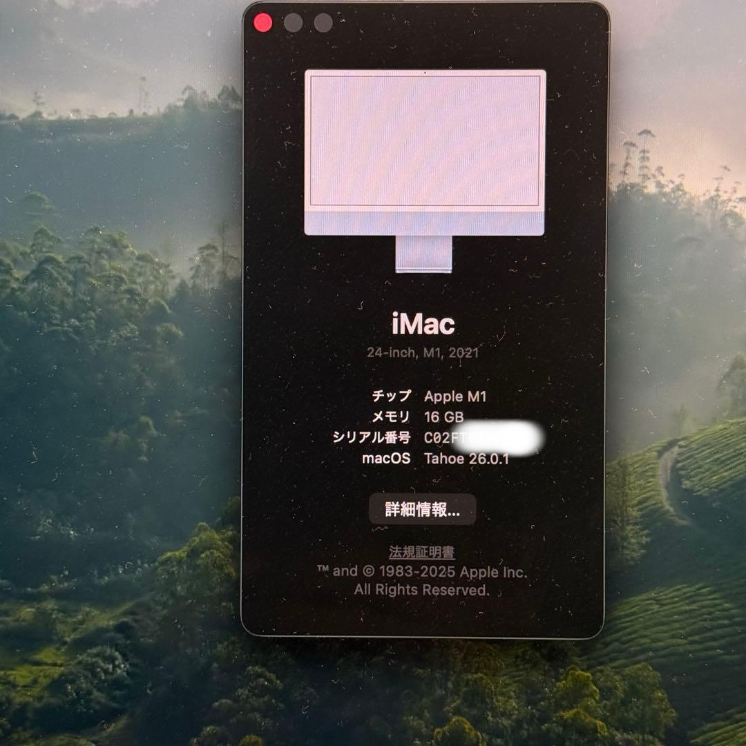 Apple iMac M1 16GB SSD256GB ブルー 2021