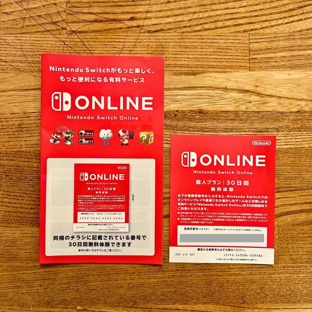 【半日使用美品】Nintendo Switch Lite ターコイズ 本体