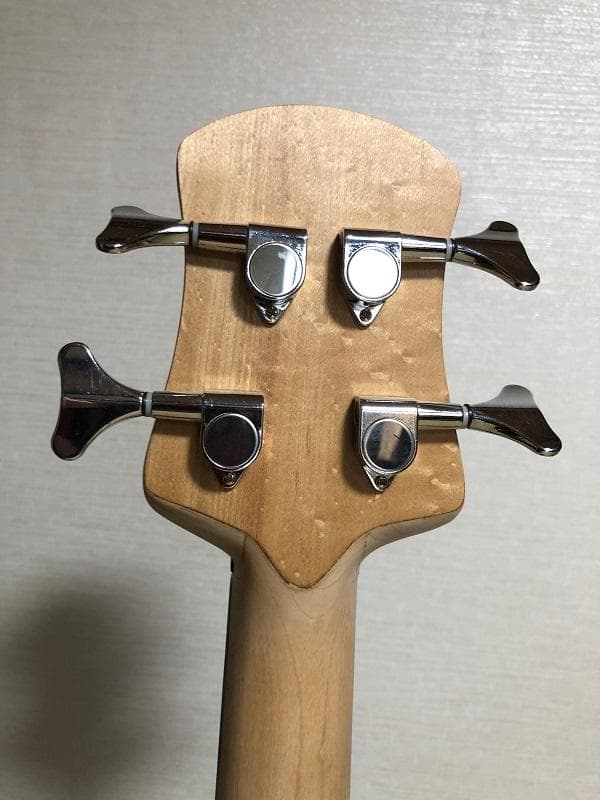 ふーし様 リペア品 アクティブPJタイプ