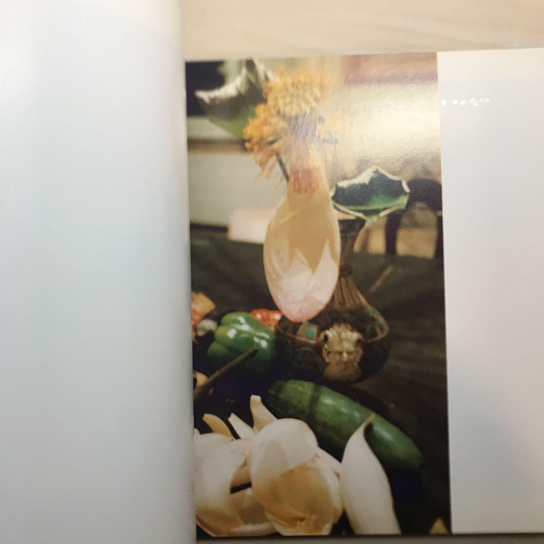 Wolfgang Tillmans: 写真集For When I'm Weak〜