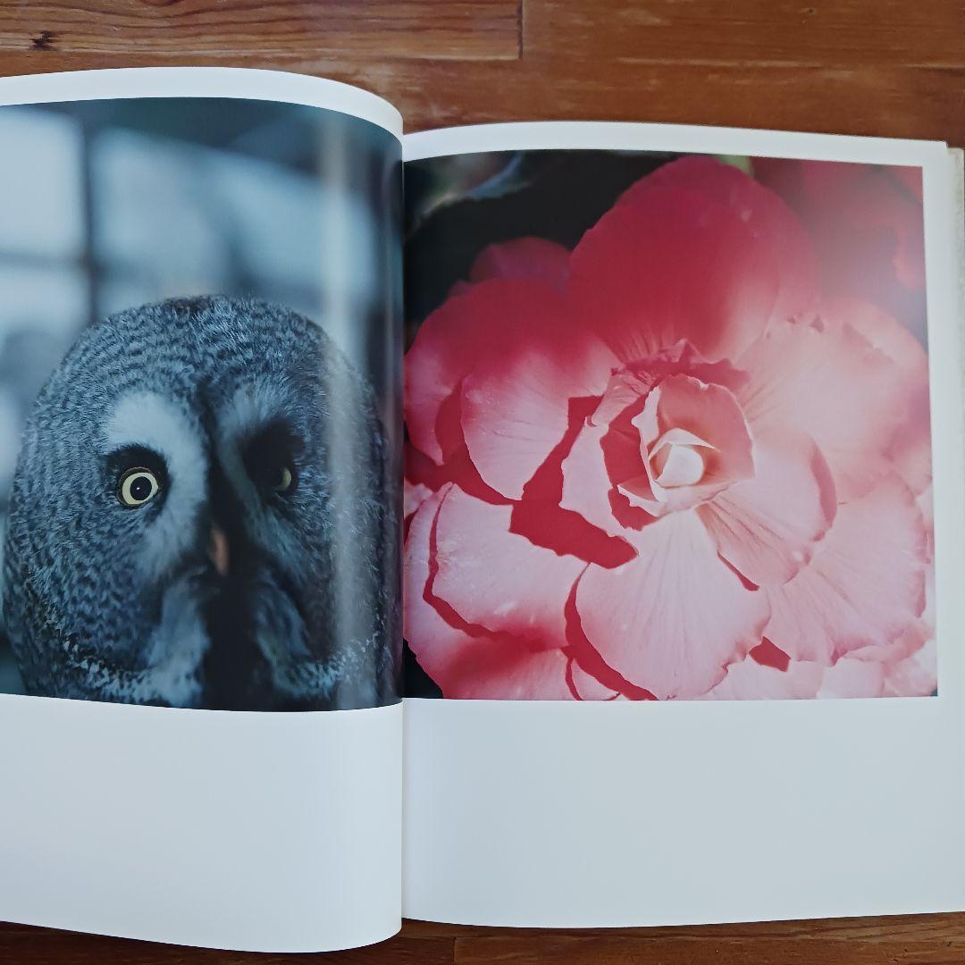 AILA 川内倫子サイン入り