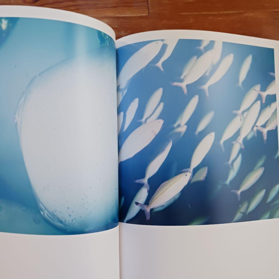 AILA 川内倫子サイン入り