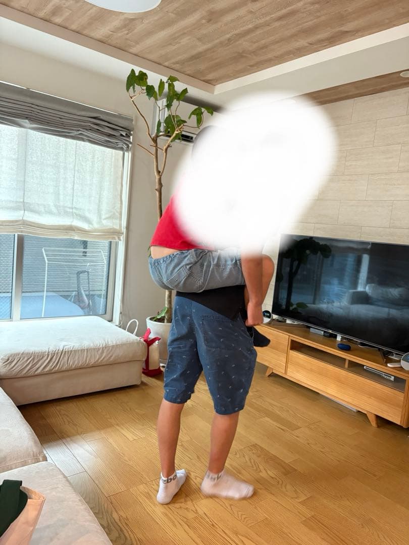 ナチュラルウッド テレビ台 仕切り付き　Sunaga