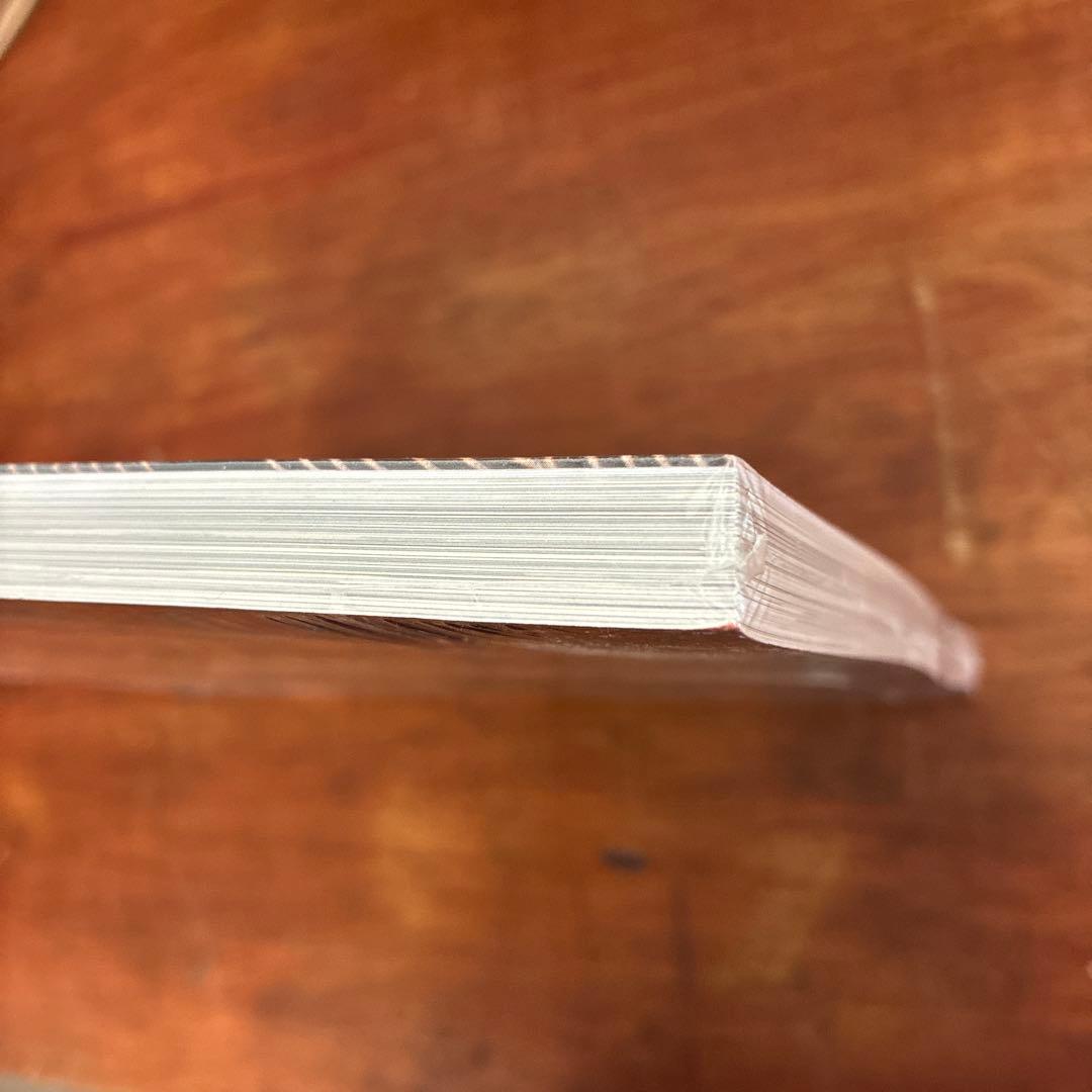 UN ART AUTRE FENDI フェンディ カタログ ハイブランド