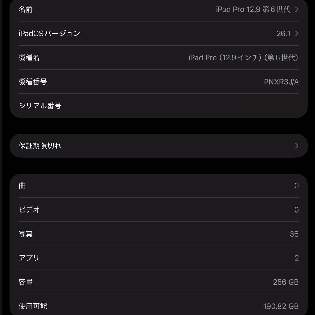 【訳あり】iPad Pro 12.9 第6世代 256GB スペースグレー
