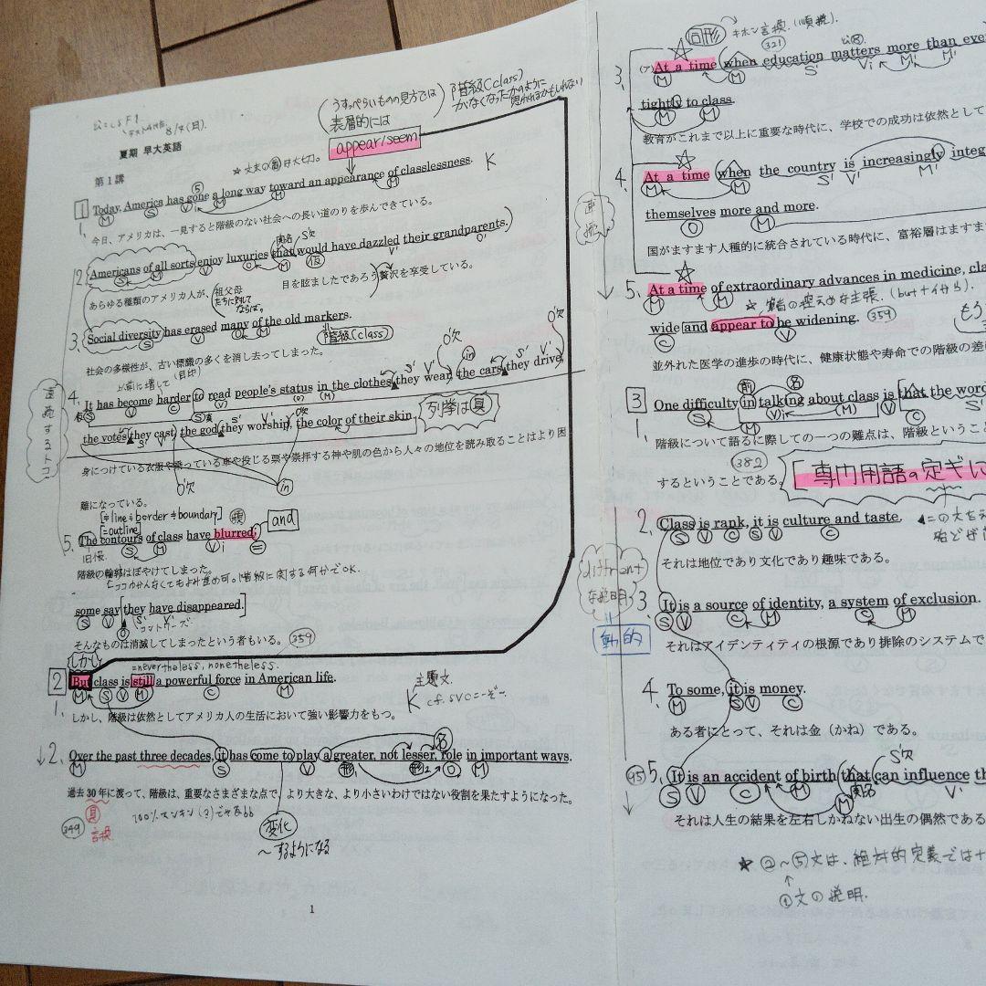 専用出品【アポロ様】河合塾 2冊早大/慶大 夏期 登木先生