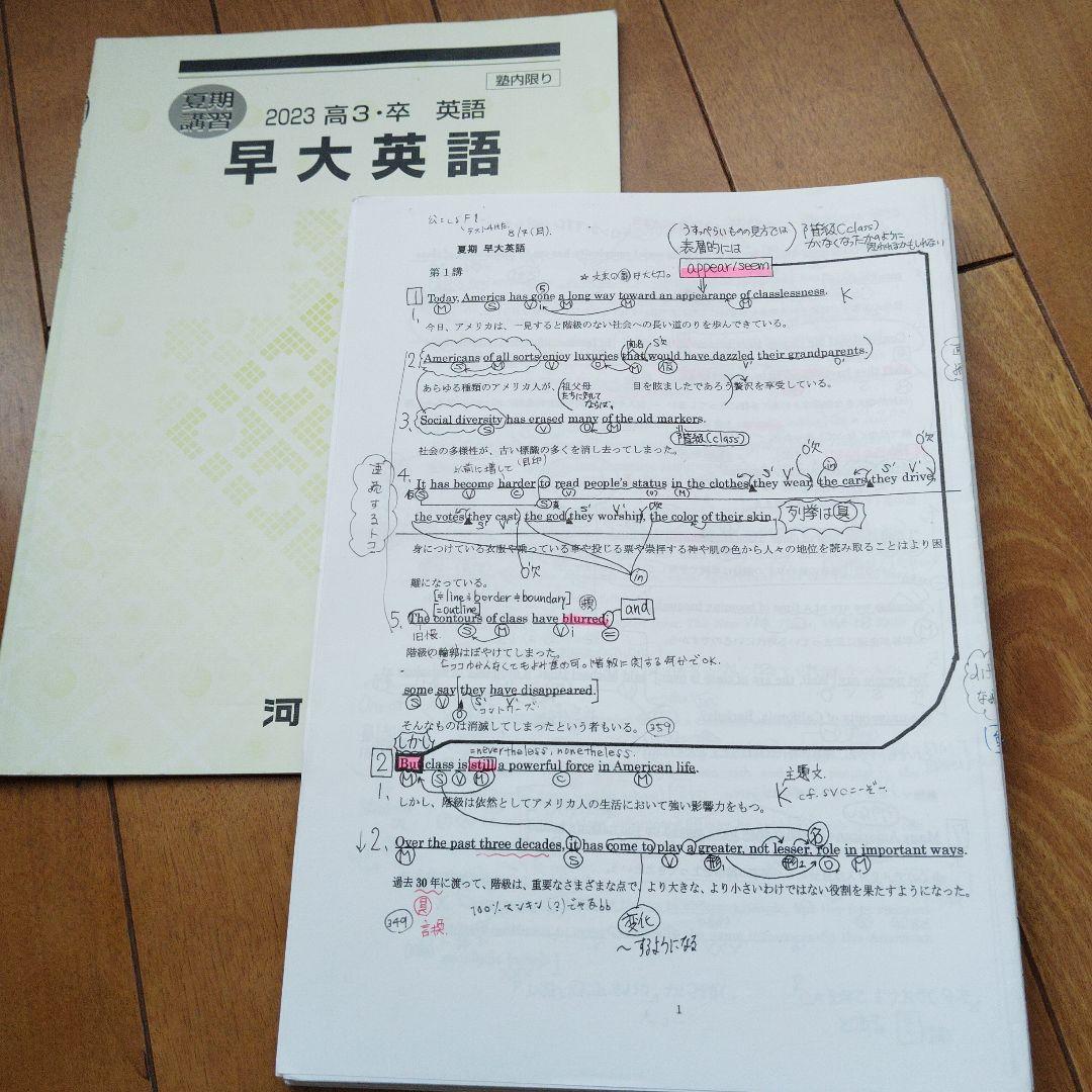 専用出品【アポロ様】河合塾 2冊早大/慶大 夏期 登木先生