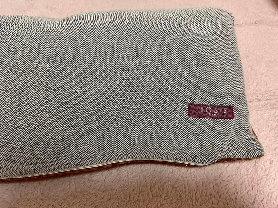 イヴドローム　クッション