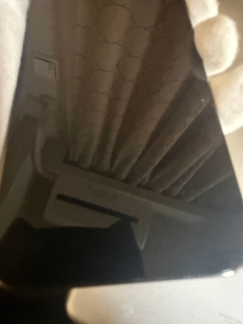 iPhone 12 Pro 本体