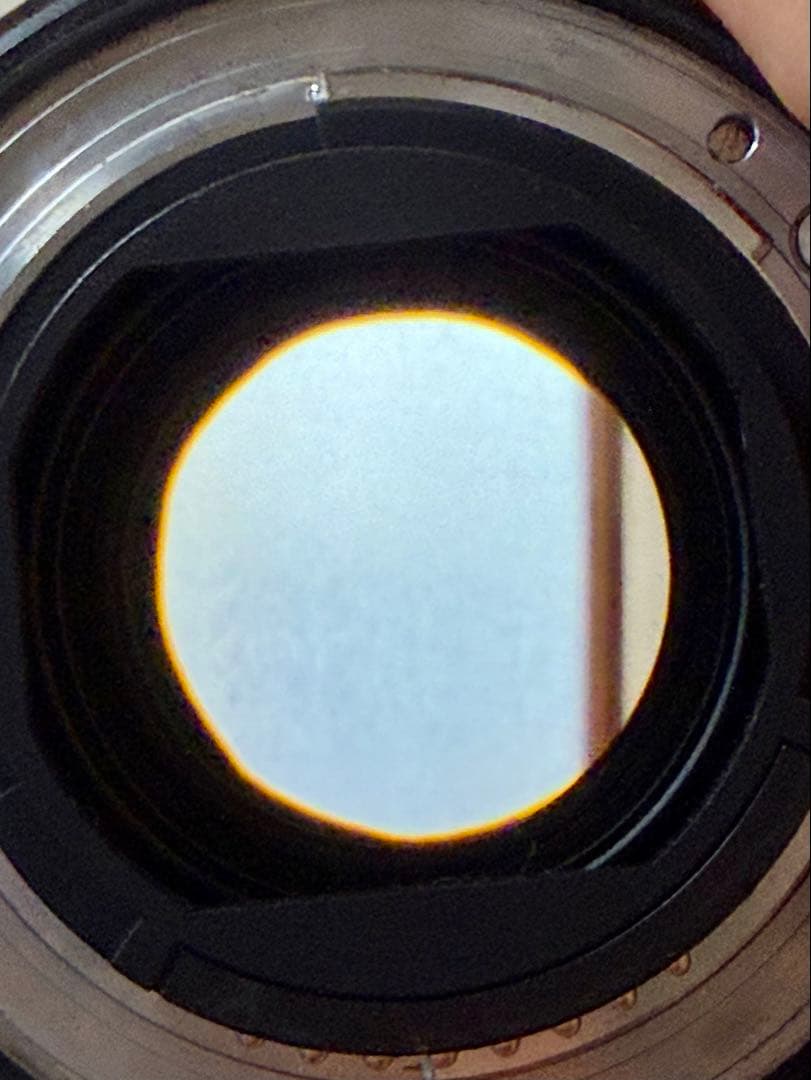 レンズ(ズーム) Nikon AF-S NIKKOR 24-70mm F2.8E ED VR