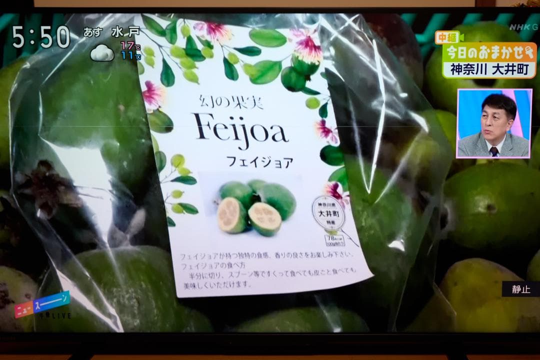 【ジャンク】REGZA 43Z570L 43インチ液晶テレビ