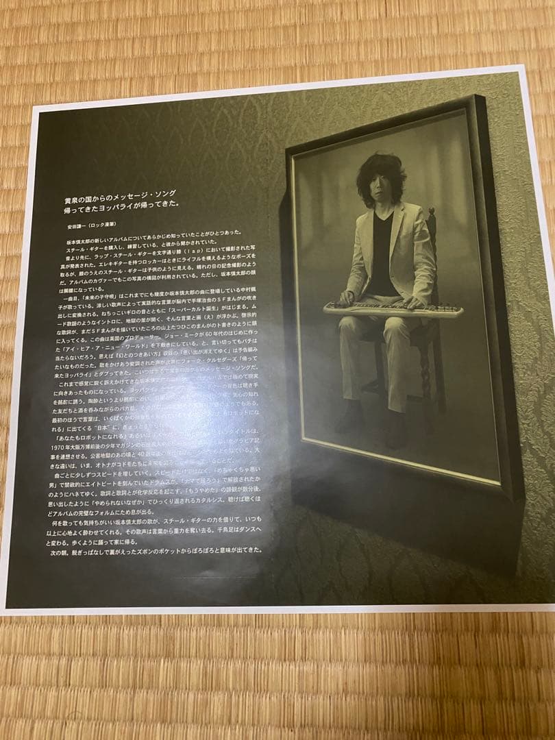 坂本慎太郎 / ナマで踊ろう [LP] ゆらゆら帝国