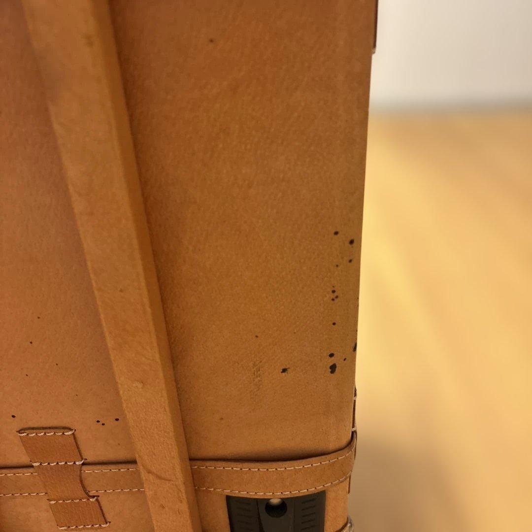 【シフレ】『ユーラシア』キャリーケース［値下げ❣️］